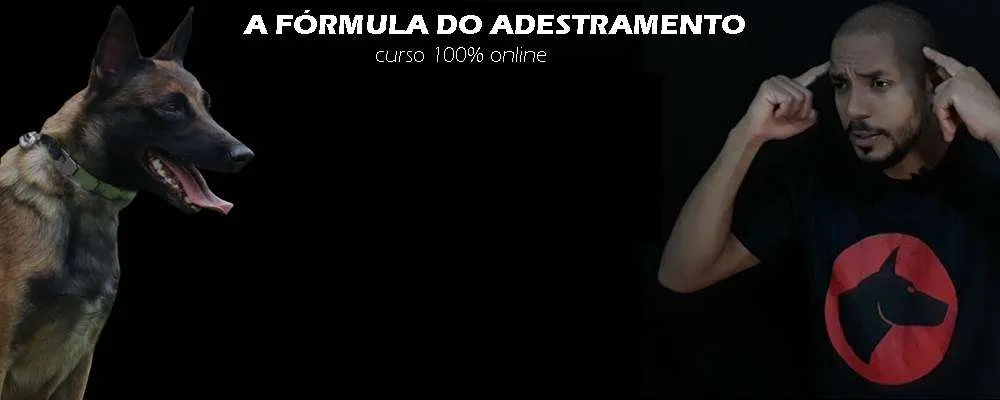 Baixar Adestramento 2.0 Dionatas Piloto: A Fórmula Definitiva