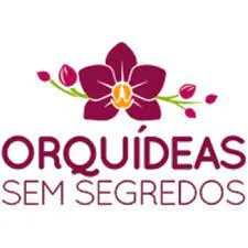 Orquídeas do Alberto: Baixe o Curso Completo Online!