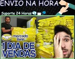Baixar Curso ML Pro Elias Maman: Domine o Mercado Livre