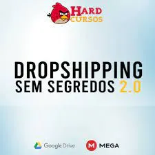 Dropshipping Sem Segredos 2.0: Baixar Curso Rei do Drop Agora!
