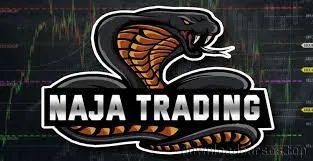 CURSO Naja Trader NTG – Take Certo: Download Rápido!