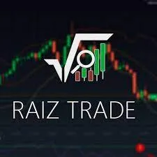 Baixar Curso Raiz Trader: Opções Binárias Definitivas – Roni Ramiro