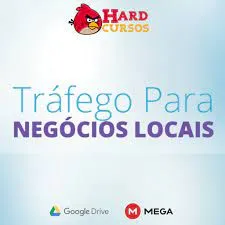 Baixar Curso Tráfego Para Negócios Locais – Fábio Bindes