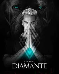 Curso Pitbull Diamante 2 Tom Freire: Baixar Agora!