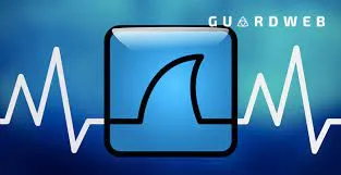 Baixar Fundamentos de Wireshark GuardWeb: Curso Completo Download