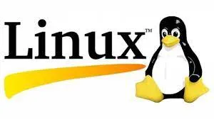 Linux Essencial 2020: Baixe Agora Curso Completo!