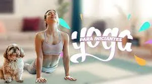 Baixar Yoga Para Iniciantes BTFIT 2020 | Curso Completo