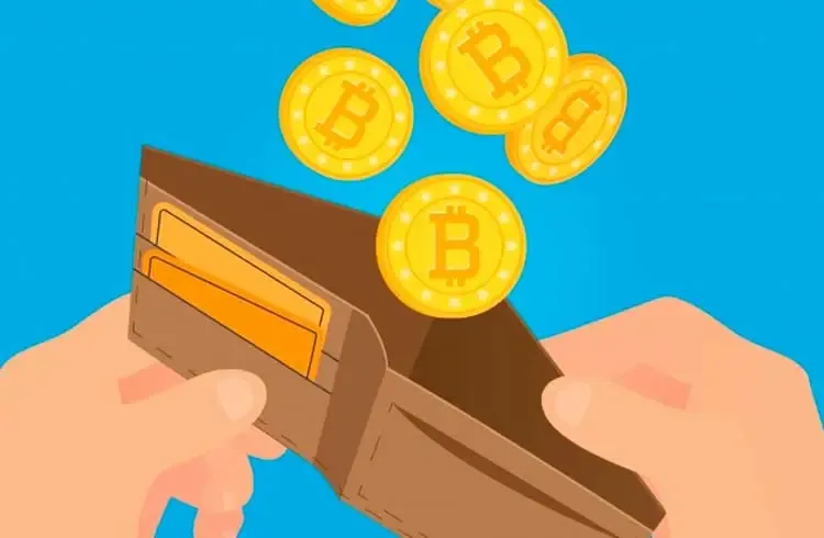 Baixar Curso Bitcoin: Domine Carteiras Digitais