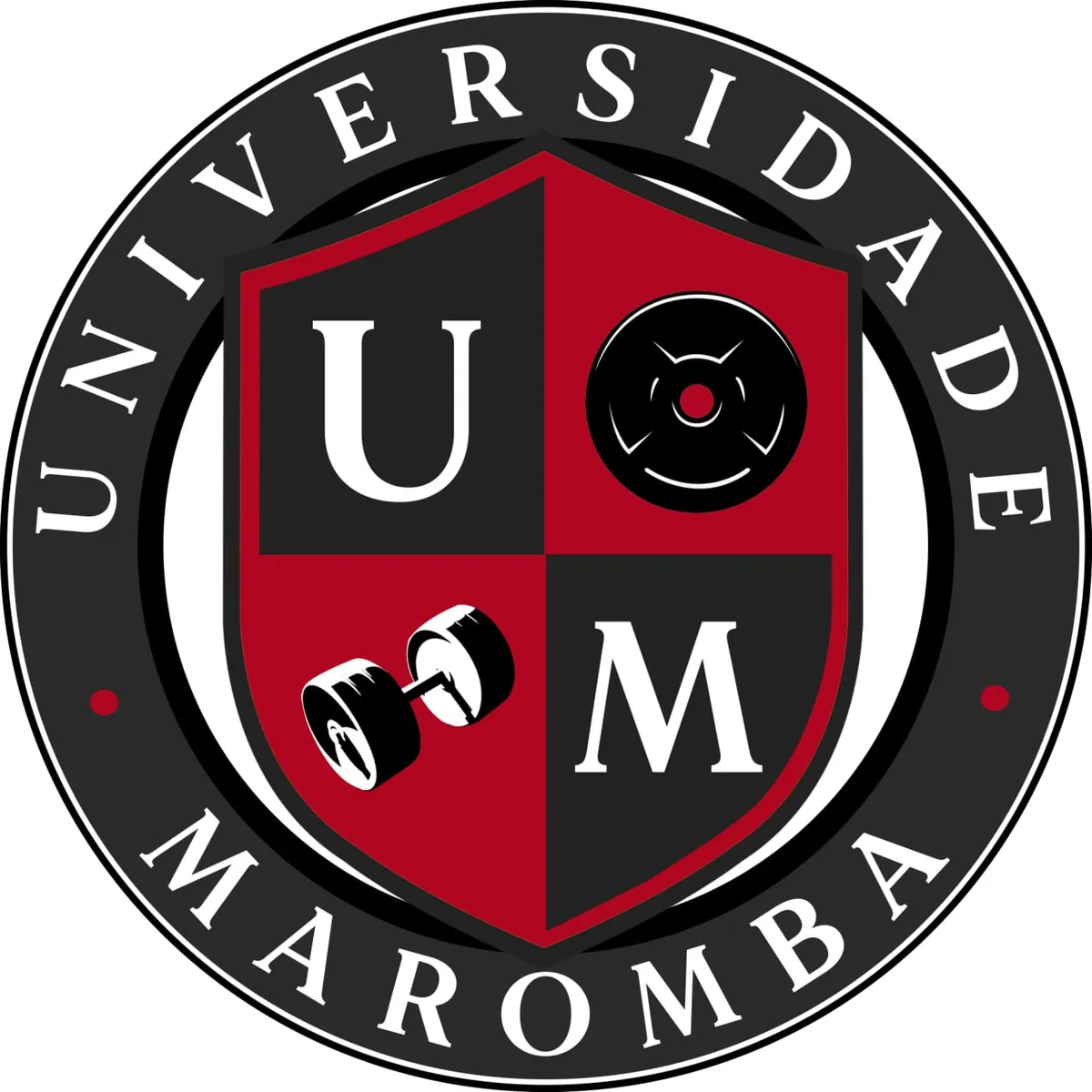 Universidade Maromba: Baixar Curso Completo Rubens e Caio Bottura