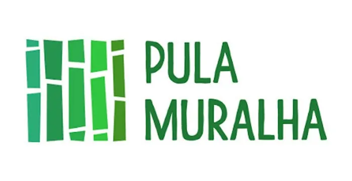 Curso Chinês Pula Muralha Si Liao: Baixar Agora!