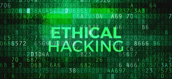 Python para Hackers Éticos: Baixe o Curso Completo Agora!