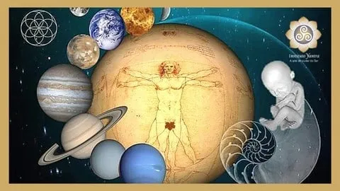 Capa: Curso Terapia Holística Aline Pastori: Baixar Completo