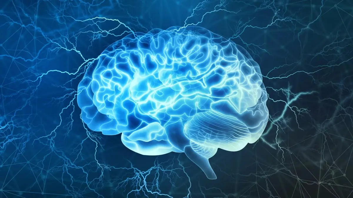 Capa: Baixar Neurociência e Comportamento Eslen Delanogare: Curso Completo