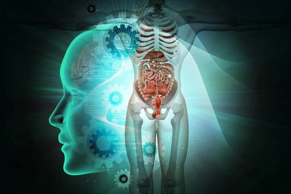 Capa: Anatomia dos Órgãos e Sistemas: Download Completo 202*