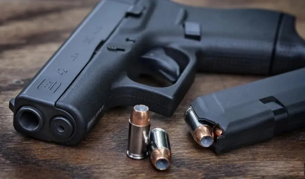 Capa: Baixar Despachante Arma Fogo Venilton Serpa: Curso Completo + Suporte