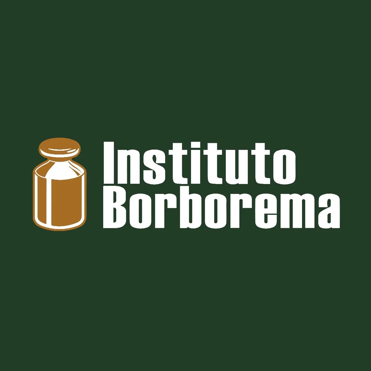 Capa: Baixar Instituto Borborema Formação Básica em Alta Qualidade