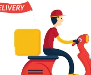 Método Delivery Torpedo João Pedro Botelho download curso online