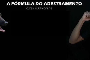 Adestramento 2.0 Dionatas Piloto: Curso Online de Adestramento Canino com Foco em Harmonia e Motivação