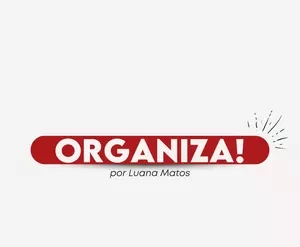Organiza Luana Matos - Curso de organização e produtividade completo