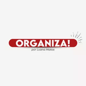 Organiza Luana Matos - Curso de organização e produtividade completo