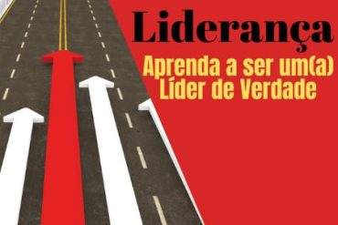 Liderança de Verdade: Curso Afonso Lopes em download