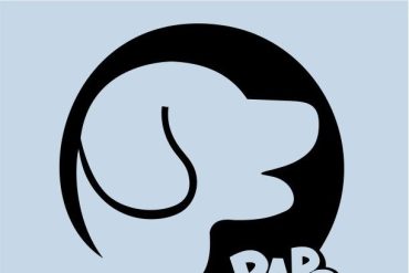 Filhote de golden retriever brincando feliz com seu dono, demonstrando um cão bem-comportado e saudável.