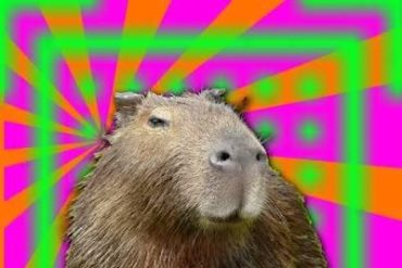 Capa do Curso de Cultivo CapivaraWeed em alta resolução com detalhes visíveis.