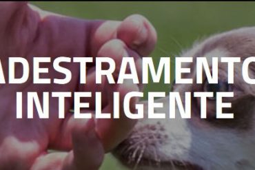 Alexandre Rossi (Dr. Pet) apresentando o curso Adestramento Inteligente